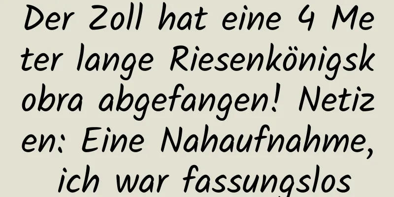 Der Zoll hat eine 4 Meter lange Riesenkönigskobra abgefangen! Netizen: Eine Nahaufnahme, ich war fassungslos