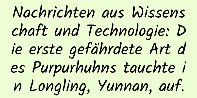 Nachrichten aus Wissenschaft und Technologie: Die erste gefährdete Art des Purpurhuhns tauchte in Longling, Yunnan, auf.