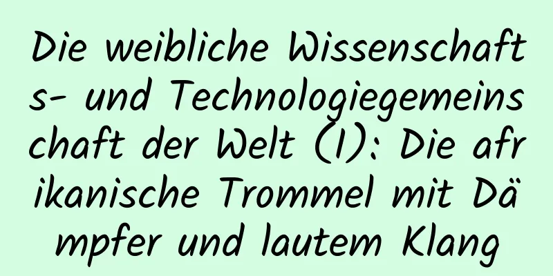 Die weibliche Wissenschafts- und Technologiegemeinschaft der Welt (I): Die afrikanische Trommel mit Dämpfer und lautem Klang