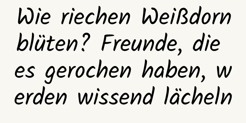 Wie riechen Weißdornblüten? Freunde, die es gerochen haben, werden wissend lächeln