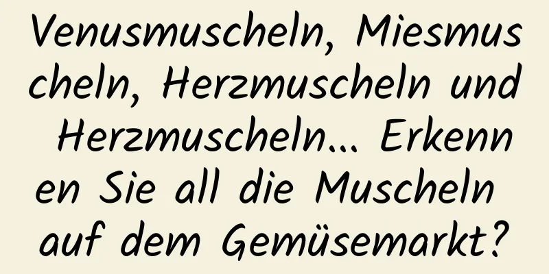 Venusmuscheln, Miesmuscheln, Herzmuscheln und Herzmuscheln... Erkennen Sie all die Muscheln auf dem Gemüsemarkt?