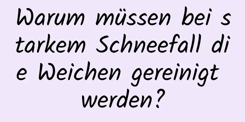 Warum müssen bei starkem Schneefall die Weichen gereinigt werden?