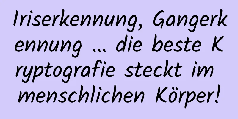 Iriserkennung, Gangerkennung … die beste Kryptografie steckt im menschlichen Körper!