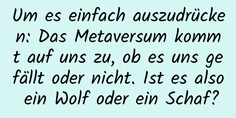 Um es einfach auszudrücken: Das Metaversum kommt auf uns zu, ob es uns gefällt oder nicht. Ist es also ein Wolf oder ein Schaf?