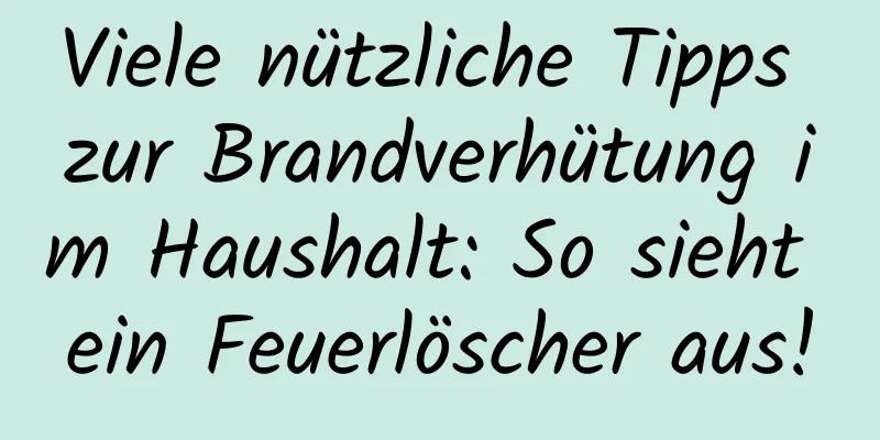 Viele nützliche Tipps zur Brandverhütung im Haushalt: So sieht ein Feuerlöscher aus!