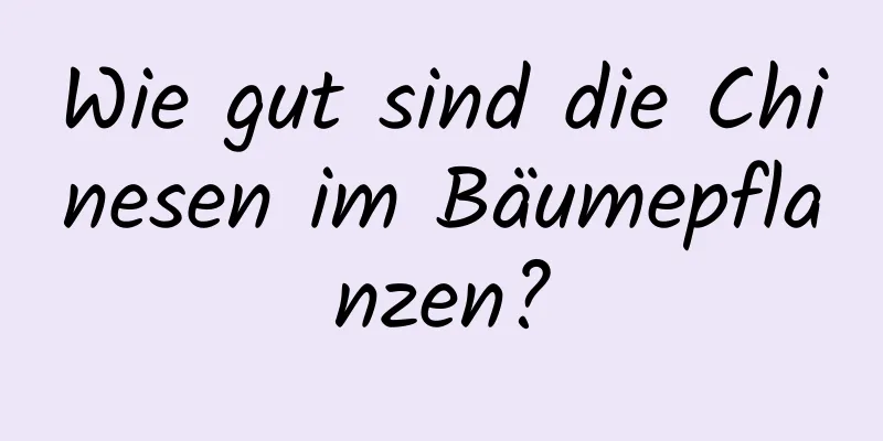Wie gut sind die Chinesen im Bäumepflanzen?