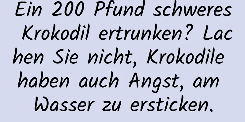 Ein 200 Pfund schweres Krokodil ertrunken? Lachen Sie nicht, Krokodile haben auch Angst, am Wasser zu ersticken.