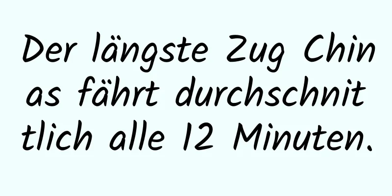 Der längste Zug Chinas fährt durchschnittlich alle 12 Minuten.