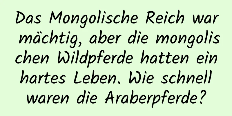 Das Mongolische Reich war mächtig, aber die mongolischen Wildpferde hatten ein hartes Leben. Wie schnell waren die Araberpferde?
