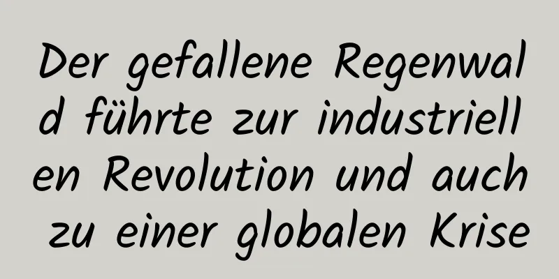 Der gefallene Regenwald führte zur industriellen Revolution und auch zu einer globalen Krise