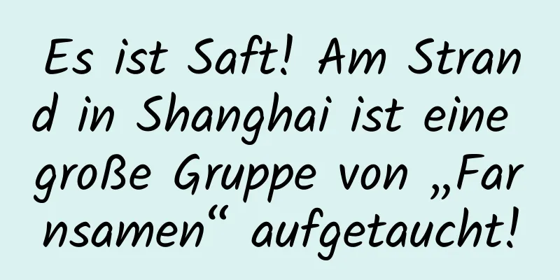 Es ist Saft! Am Strand in Shanghai ist eine große Gruppe von „Farnsamen“ aufgetaucht!
