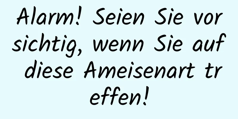 Alarm! Seien Sie vorsichtig, wenn Sie auf diese Ameisenart treffen!