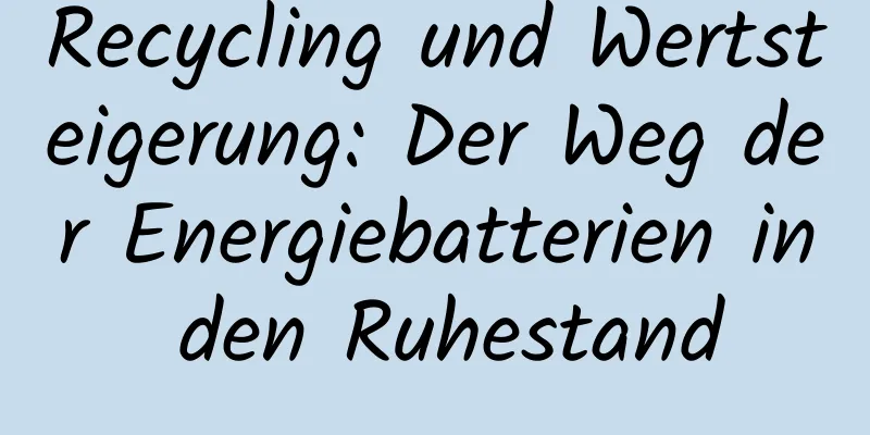 Recycling und Wertsteigerung: Der Weg der Energiebatterien in den Ruhestand