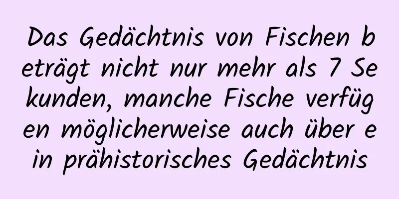 Das Gedächtnis von Fischen beträgt nicht nur mehr als 7 Sekunden, manche Fische verfügen möglicherweise auch über ein prähistorisches Gedächtnis