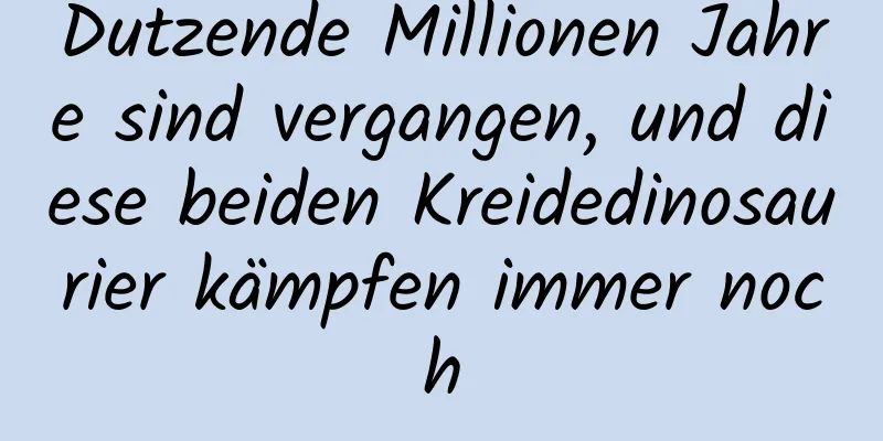 Dutzende Millionen Jahre sind vergangen, und diese beiden Kreidedinosaurier kämpfen immer noch