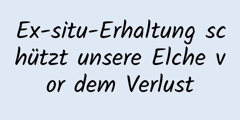 Ex-situ-Erhaltung schützt unsere Elche vor dem Verlust