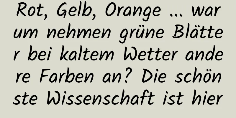 Rot, Gelb, Orange ... warum nehmen grüne Blätter bei kaltem Wetter andere Farben an? Die schönste Wissenschaft ist hier