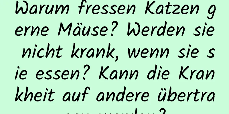 Warum fressen Katzen gerne Mäuse? Werden sie nicht krank, wenn sie sie essen? Kann die Krankheit auf andere übertragen werden?