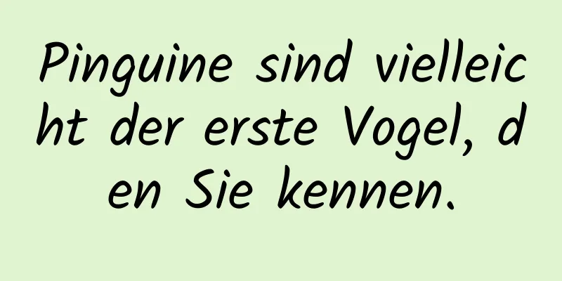 Pinguine sind vielleicht der erste Vogel, den Sie kennen.