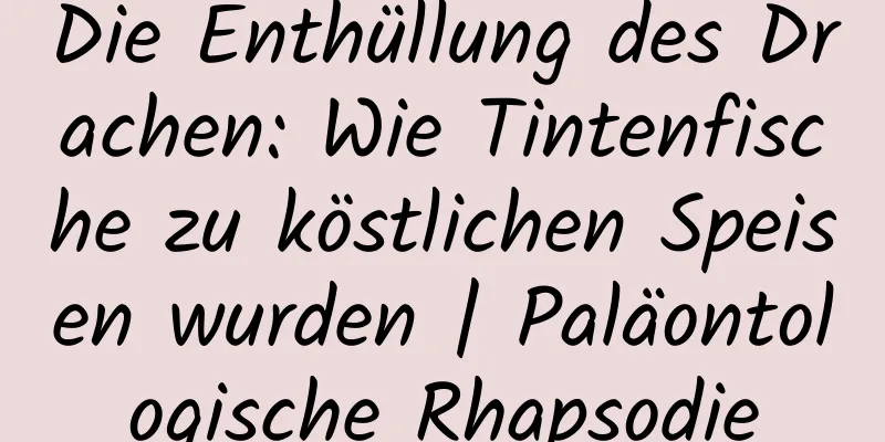 Die Enthüllung des Drachen: Wie Tintenfische zu köstlichen Speisen wurden | Paläontologische Rhapsodie
