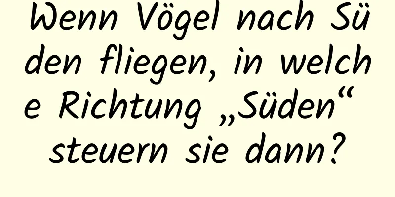 Wenn Vögel nach Süden fliegen, in welche Richtung „Süden“ steuern sie dann?