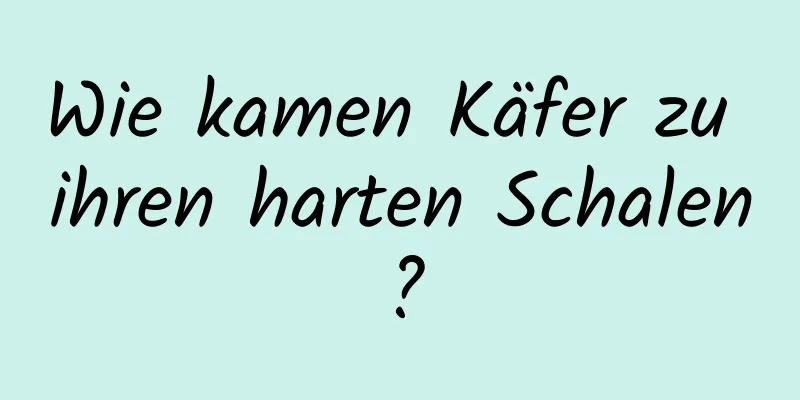 Wie kamen Käfer zu ihren harten Schalen?