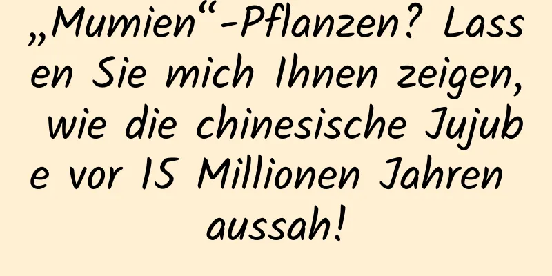 „Mumien“-Pflanzen? Lassen Sie mich Ihnen zeigen, wie die chinesische Jujube vor 15 Millionen Jahren aussah!