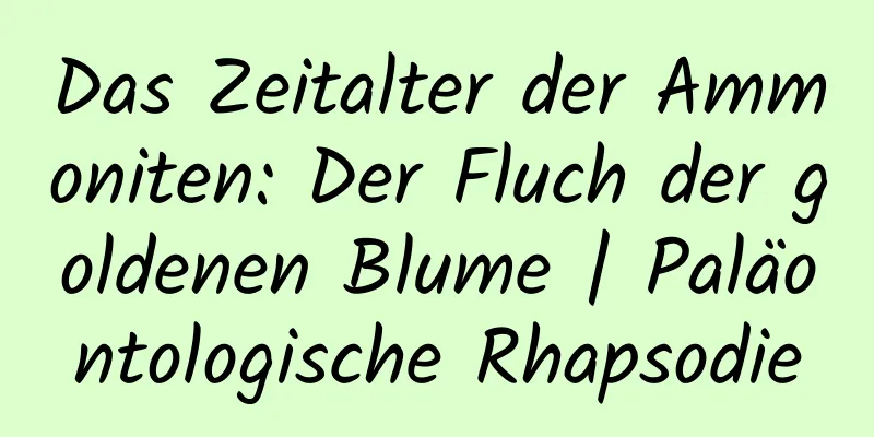 Das Zeitalter der Ammoniten: Der Fluch der goldenen Blume | Paläontologische Rhapsodie