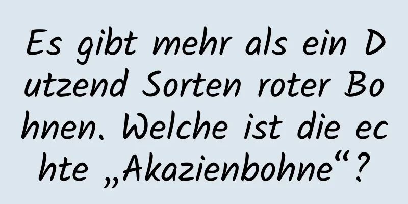 Es gibt mehr als ein Dutzend Sorten roter Bohnen. Welche ist die echte „Akazienbohne“?
