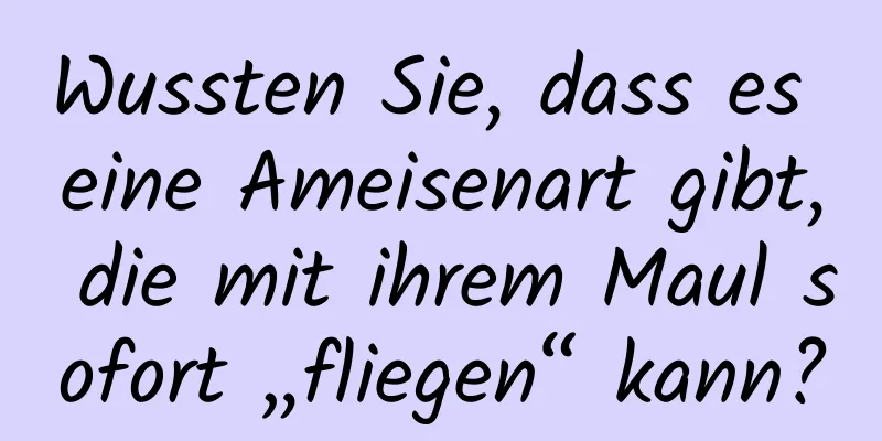Wussten Sie, dass es eine Ameisenart gibt, die mit ihrem Maul sofort „fliegen“ kann?