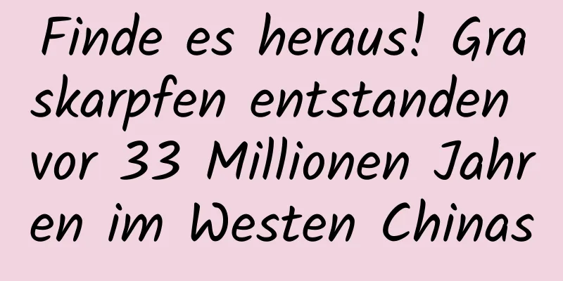 Finde es heraus! Graskarpfen entstanden vor 33 Millionen Jahren im Westen Chinas