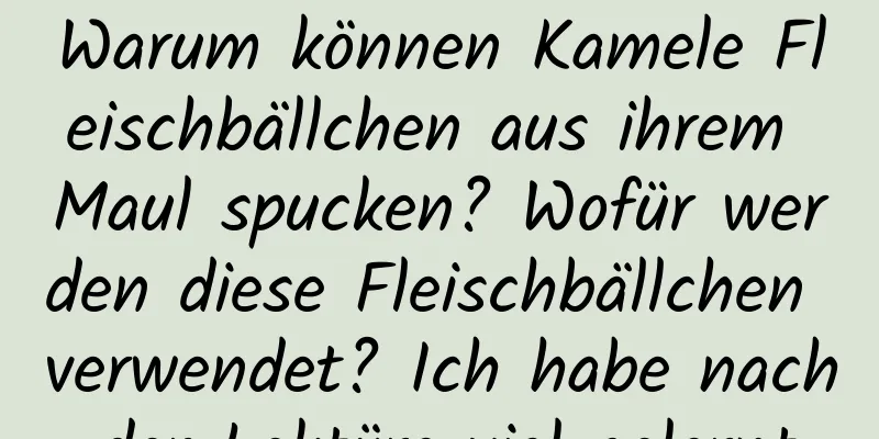 Warum können Kamele Fleischbällchen aus ihrem Maul spucken? Wofür werden diese Fleischbällchen verwendet? Ich habe nach der Lektüre viel gelernt.