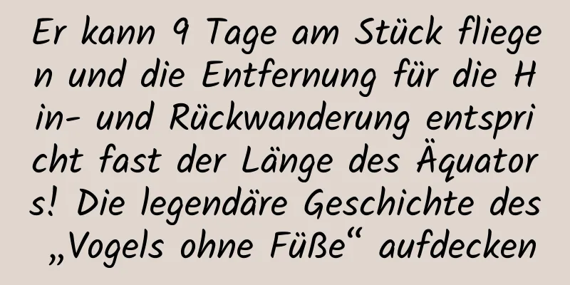 Er kann 9 Tage am Stück fliegen und die Entfernung für die Hin- und Rückwanderung entspricht fast der Länge des Äquators! Die legendäre Geschichte des „Vogels ohne Füße“ aufdecken