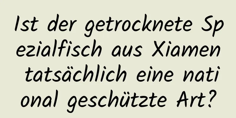 Ist der getrocknete Spezialfisch aus Xiamen tatsächlich eine national geschützte Art?