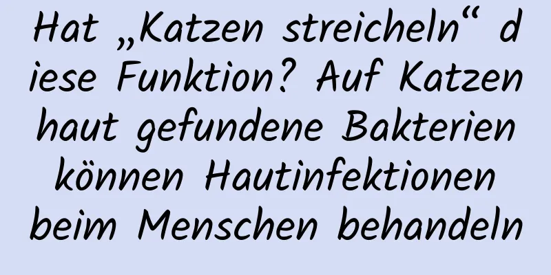 Hat „Katzen streicheln“ diese Funktion? Auf Katzenhaut gefundene Bakterien können Hautinfektionen beim Menschen behandeln