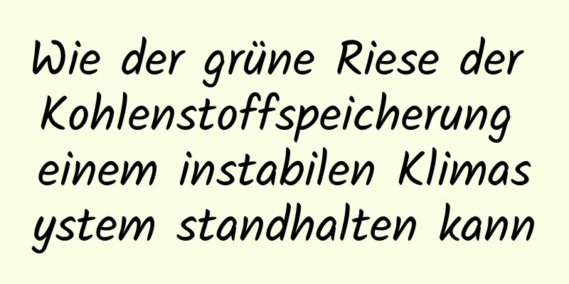 Wie der grüne Riese der Kohlenstoffspeicherung einem instabilen Klimasystem standhalten kann