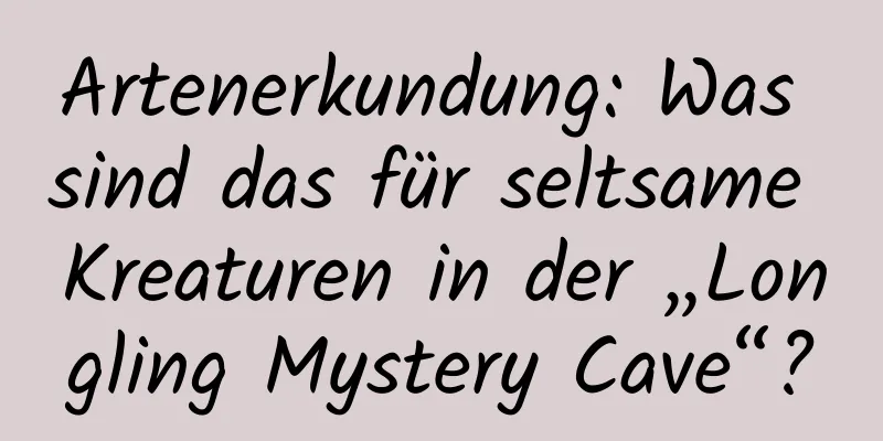 Artenerkundung: Was sind das für seltsame Kreaturen in der „Longling Mystery Cave“?