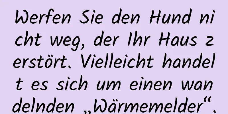 Werfen Sie den Hund nicht weg, der Ihr Haus zerstört. Vielleicht handelt es sich um einen wandelnden „Wärmemelder“.