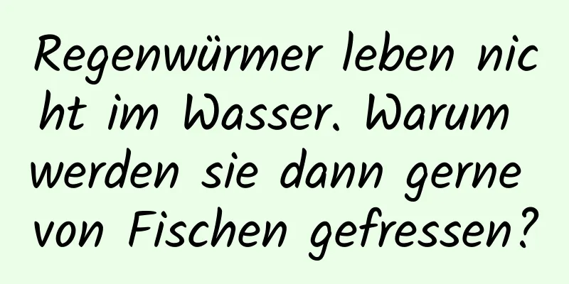 Regenwürmer leben nicht im Wasser. Warum werden sie dann gerne von Fischen gefressen?