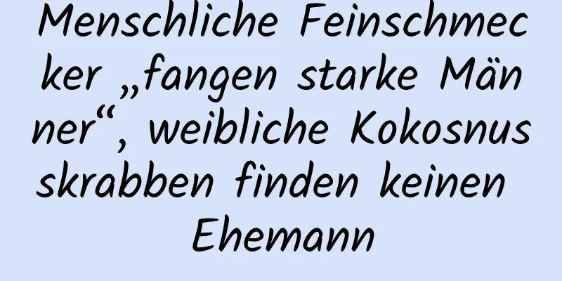 Menschliche Feinschmecker „fangen starke Männer“, weibliche Kokosnusskrabben finden keinen Ehemann