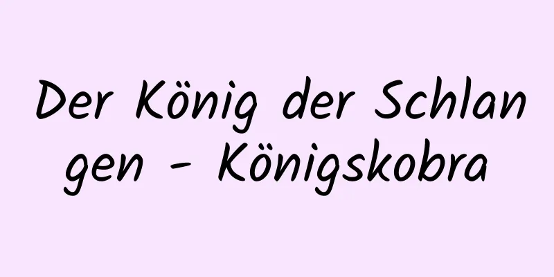 Der König der Schlangen - Königskobra
