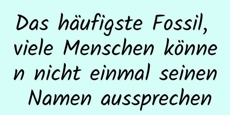 Das häufigste Fossil, viele Menschen können nicht einmal seinen Namen aussprechen