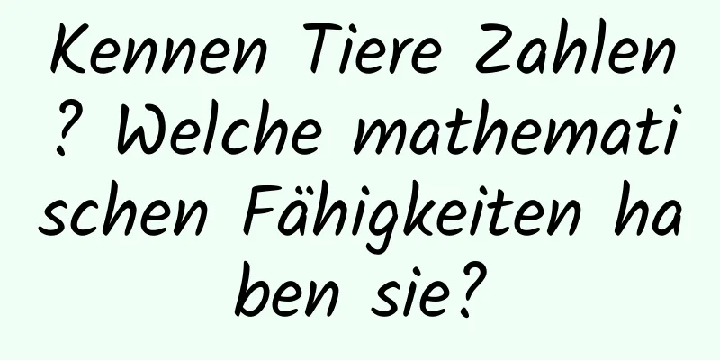 Kennen Tiere Zahlen? Welche mathematischen Fähigkeiten haben sie?