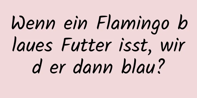 Wenn ein Flamingo blaues Futter isst, wird er dann blau?