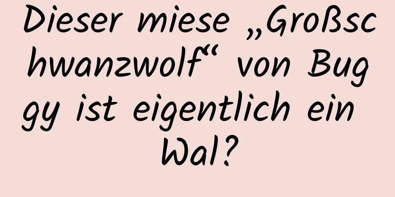 Dieser miese „Großschwanzwolf“ von Buggy ist eigentlich ein Wal?