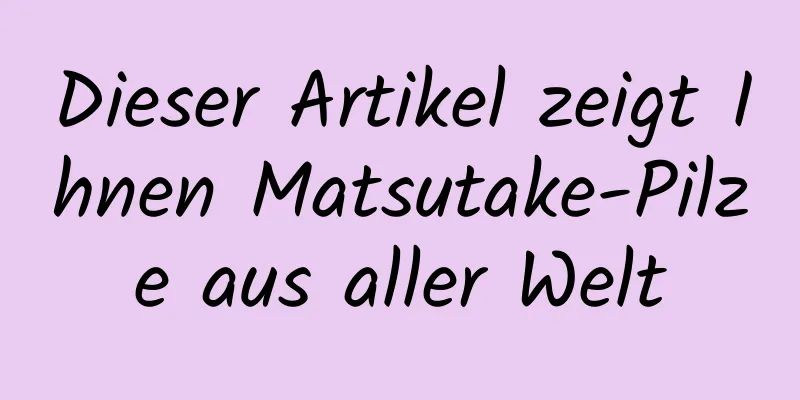 Dieser Artikel zeigt Ihnen Matsutake-Pilze aus aller Welt