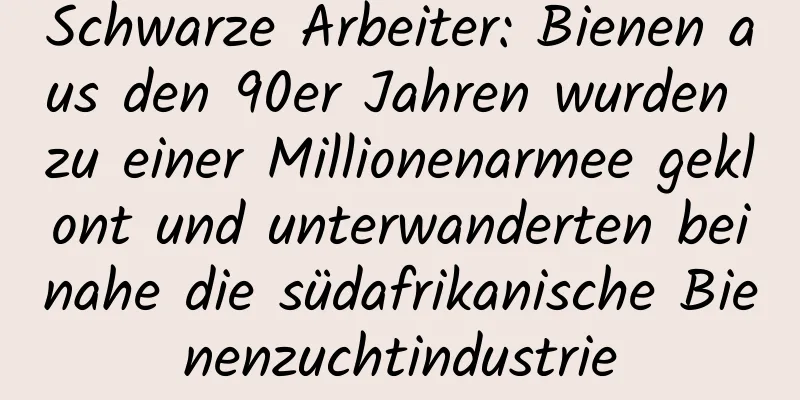 Schwarze Arbeiter: Bienen aus den 90er Jahren wurden zu einer Millionenarmee geklont und unterwanderten beinahe die südafrikanische Bienenzuchtindustrie