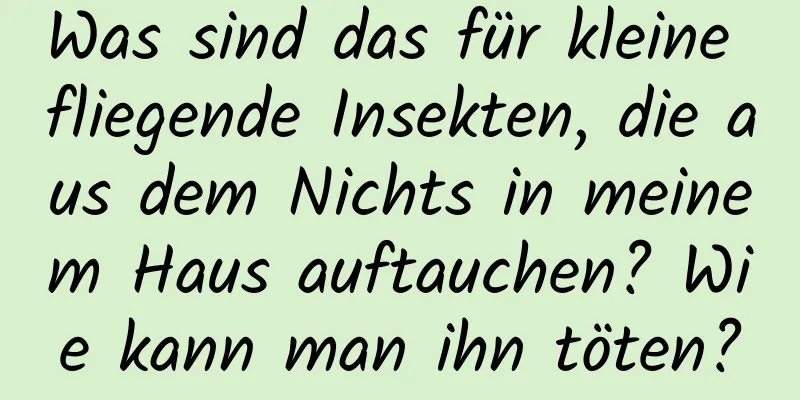 Was sind das für kleine fliegende Insekten, die aus dem Nichts in meinem Haus auftauchen? Wie kann man ihn töten?