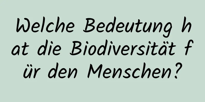 Welche Bedeutung hat die Biodiversität für den Menschen?