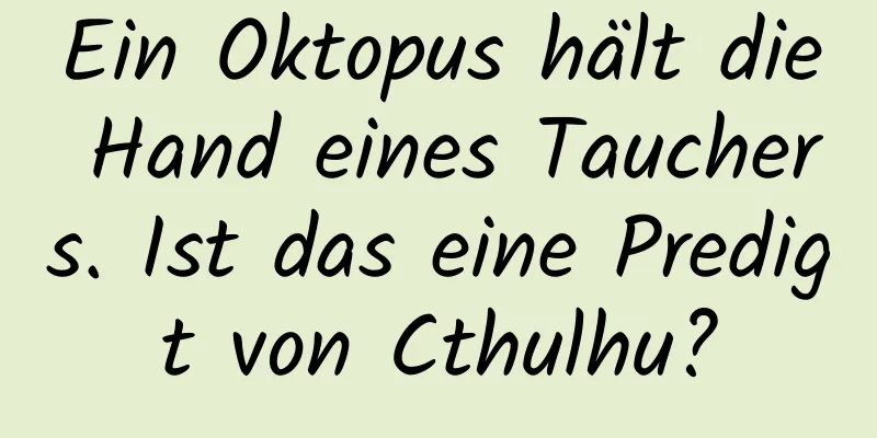 Ein Oktopus hält die Hand eines Tauchers. Ist das eine Predigt von Cthulhu?